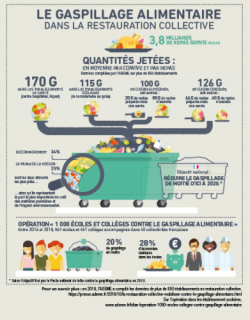 infographie-gaspillage-alimentaire-391x500.png