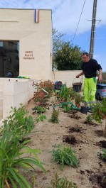 2025 PLANTES MAIRIE.jpg