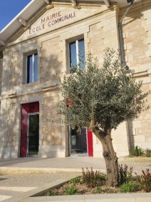 2025 plants mairie 4.jpg