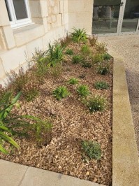 2025 plants mairie 6.jpg