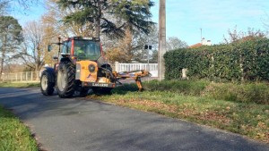 curage 2.jfif curage 2.jfif